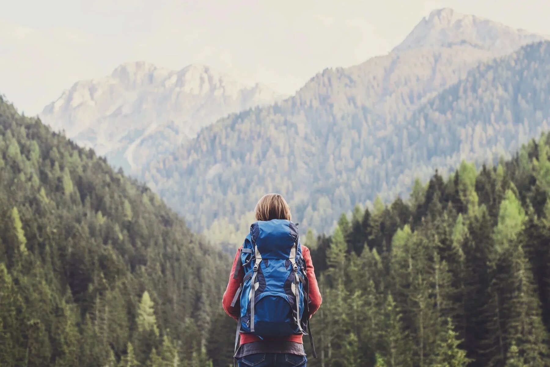 A hiker on a forest trail — Torrey Growth & Income Advisors helps clients align their wealth with the causes they care about